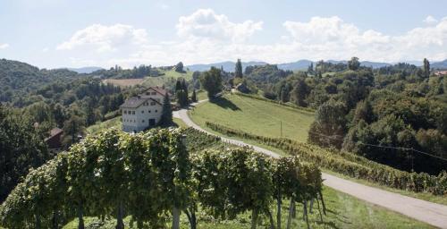 Imagen de la galería de Winzer Appartements Kogler, en Leutschach