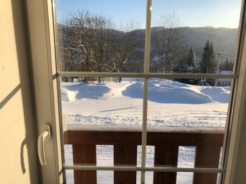 a view of a snow covered yard from a window at Apartmán Janina in Janov nad Nisou