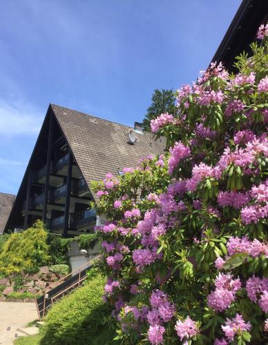 un bâtiment avec des fleurs violettes devant lui dans l'établissement Panorama Point, à Sasbachwalden