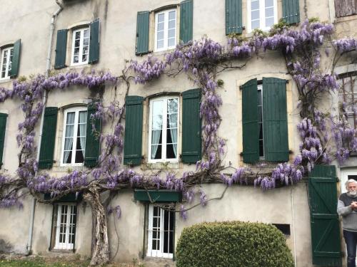 a row of windows with flowers in front of them at Maison Laclede in Bedous