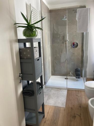 a bathroom with a shower and a plant on a shelf at ON the RAIL by Arcotrilogy-Homes in Arco
