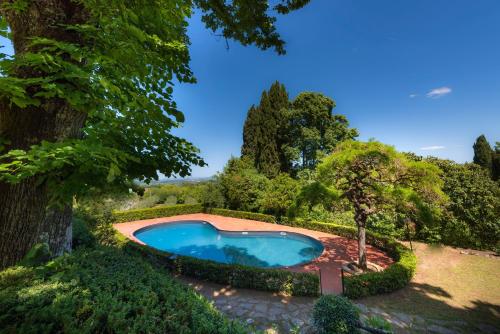 a pool with a tree in the middle of it at Villa Scacciapensieri Boutique Hotel in Siena