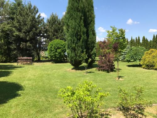 Κήπος έξω από το Świerkowe Wzgórze
