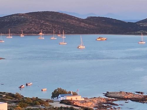 a group of boats on a large body of water at George's Traditional House in Agios Georgios