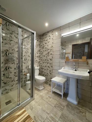 a bathroom with a toilet and a sink and a shower at APARTAMENTOS RURALES POSADA DE LLERENA in Llerena