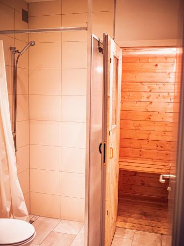 a bathroom with a sauna with a shower and a toilet at Casa Granula in Bad Ragaz