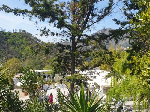 a tree in a garden with a mountain in the background at Costa Morroni in Levanto