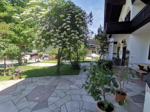 a courtyard with a tree with white flowers at Pension Almhof Baumgarten in Bad Reichenhall