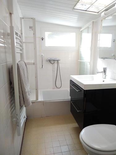 une salle de bain avec toilettes, lavabo et douche dans l'établissement Maison Boisvinet Saint-Gilles-Croix-de-Vie, 4-5 p, belle cour intérieure, 200m plage, à Saint-Gilles-Croix-de-Vie