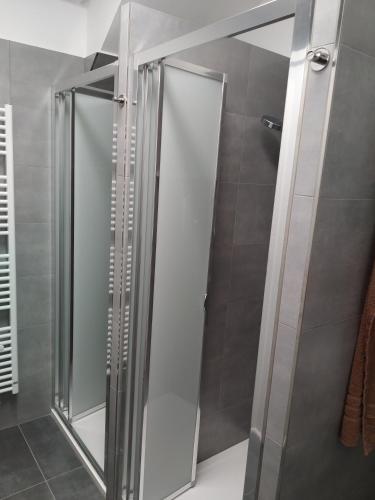 a shower with a glass door in a bathroom at Relax hotel Valaška in Horní Bečva