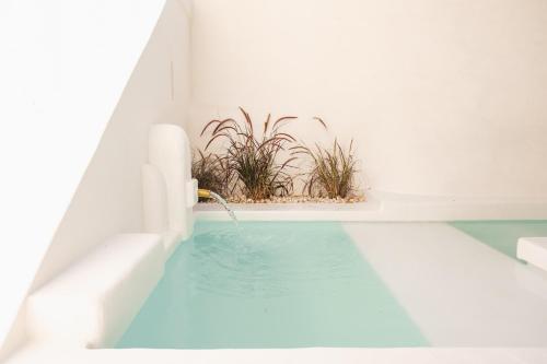 Kolam renang di atau dekat dengan Masseria Borgo Ritella