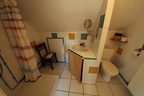 Baño pequeño con lavabo y aseo en Chambres et table d'hôte Le Petit Radis en Lus-la-Croix-Haute