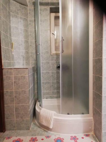 a shower with a glass door in a bathroom at Smještajni objekt Padovan in Banjol