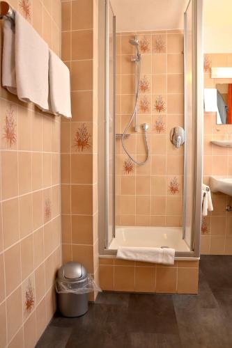 a bathroom with a shower and a sink at Bayerischer Hof in Heiligenberg