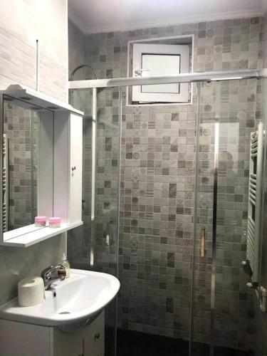 a bathroom with a sink and a glass shower at Apartament Radu in Călimăneşti