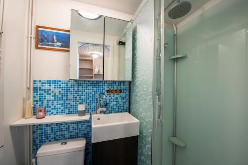 uma casa de banho com um WC, um lavatório e um chuveiro em Maison de pêcheur LE TREPORT "ça nous va" em Le Tréport