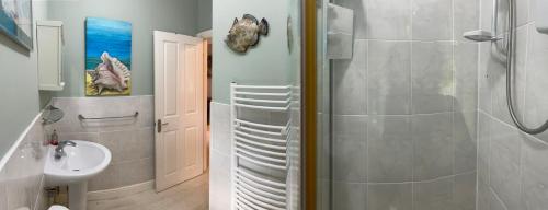 un bagno con doccia e lavandino di Milkwood Cottage a Corwen
