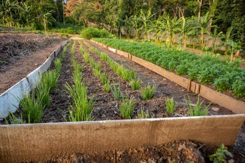 Ein Garten an der Unterkunft Pousada dos Pireneus