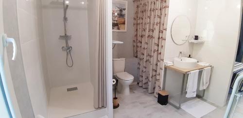 a bathroom with a toilet and a sink and a shower at Chambre d'hôtes du Mas Julianas in Saint-Laurent-de-la-Salanque