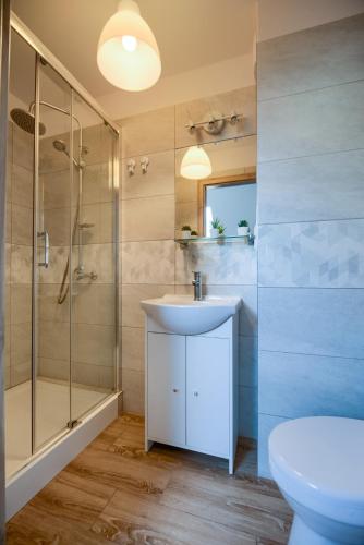 a bathroom with a sink and a shower and a toilet at Purtulka pokoje klimatyzowane in Pobierowo