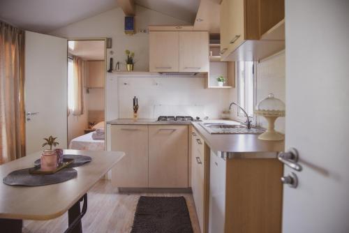 Kuchyň nebo kuchyňský kout v ubytování Mobile Homes Bilice