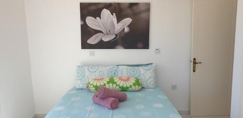 Gallery image of Athena and The Owl Beachside Apt in Paphos City