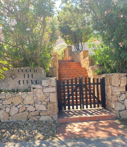 Poggio del Cervo – Photos 2
