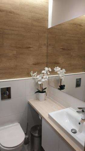 O baie la Hosana Zakopane Pokoje Gościnne i Apartamenty