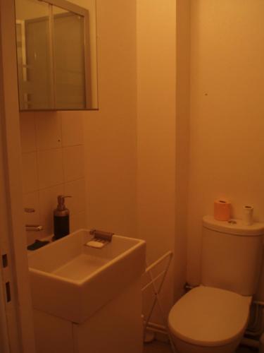 une salle de bain avec des toilettes blanches et un lavabo dans l'établissement Studio Dijon Rue Pietonne, à Dijon