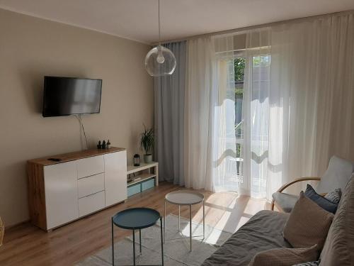 uma sala de estar com um sofá e uma televisão em Helski em Hel