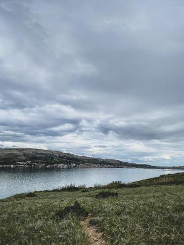 a large body of water with a grass field next to it at Apartment Anamaria in Pag
