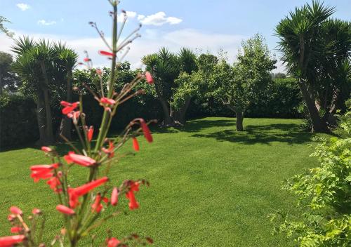a green yard with red flowers and trees at Antica Casina B&B di Charme in Pulsano