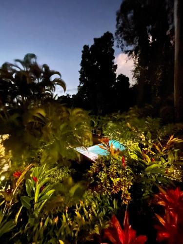 Κήπος έξω από το Les Jardins de l'Espérance