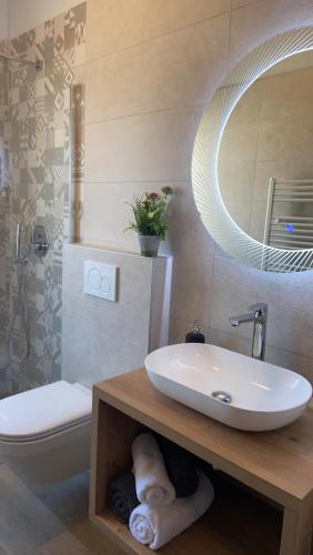 a bathroom with a sink and a toilet and a mirror at Apartmani Žužić in Poreč