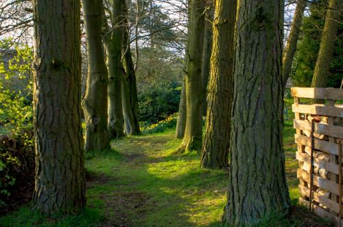 a path through a forest with trees and a fence at Robin Hood Farm B&B in Baslow