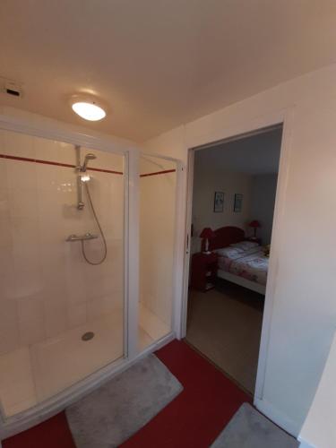 ein Bad mit einer Dusche und ein Schlafzimmer mit einem Bett in der Unterkunft TY KOANT in Daoulas