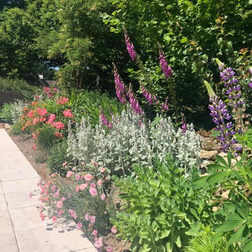 a garden filled with lots of different colored flowers at Walnut Tree Gite Brittany in Boderel