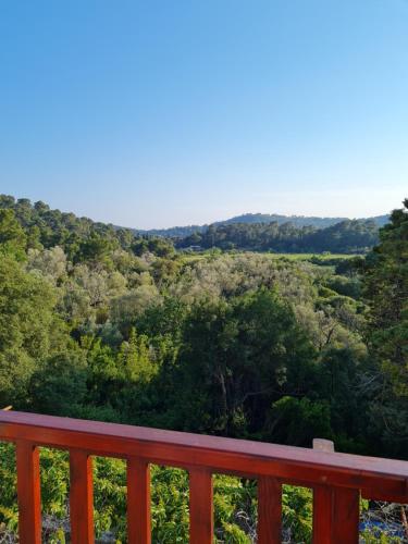 a wooden deck with a view of a forest at Apartments Hana in Goveđari