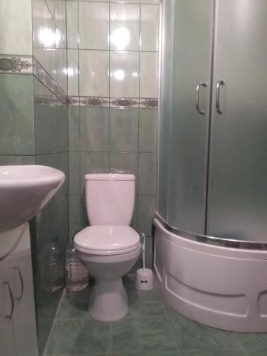 a bathroom with a toilet and a sink and a shower at Садиба "У стрийка" Сопіт in Sopot