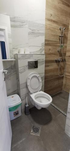 a small bathroom with a toilet and a shower at Villa Natali in Ohrid