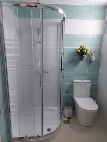 a bathroom with a toilet and a glass shower at El Hierro in Gran Tarajal