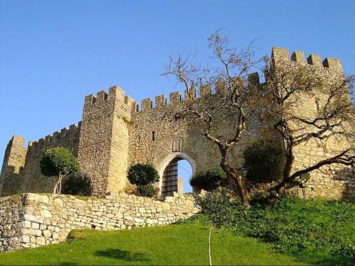 an old castle with a stone wall and a tree at Galerias 90 in Pombal