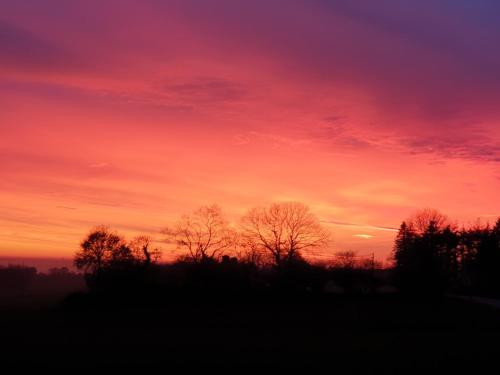 a sunset with trees in the foreground at Charming traditional 2-Bed Cottage near Plemet in Plémet
