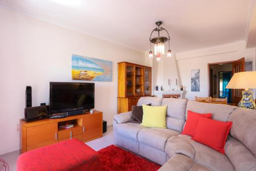 a living room with a couch and a tv at Brasil Avenue by Rent4All in Figueira da Foz