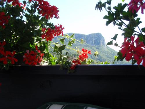 a window with red flowers and a view of a mountain at Apartments Gregorc in Bled
