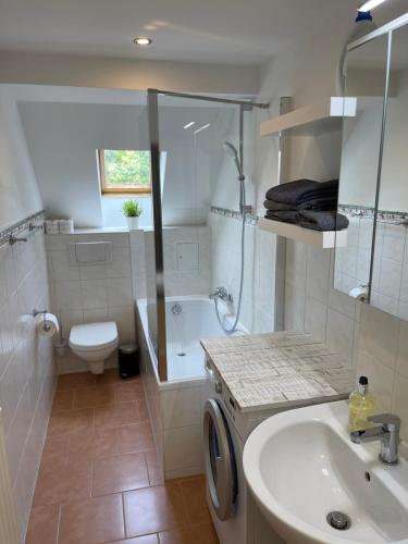 a bathroom with a sink and a shower and a toilet at Markkleeberg Ferienwohnung in Markkleeberg