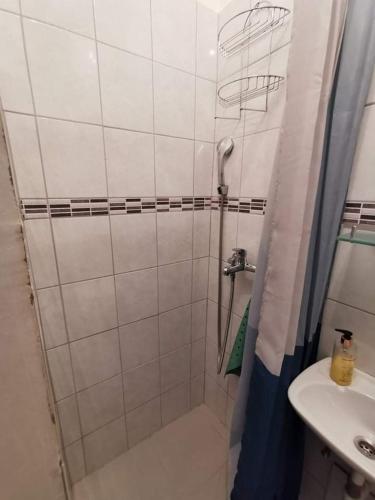 a bathroom with a shower and a sink at The Palace Mattiazzi Room in Šibenik