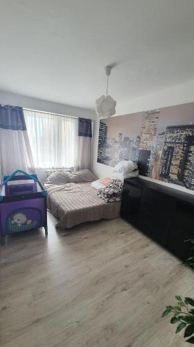 1 dormitorio con cama y ventana grande en Apartament New Jork, en Olsztyn