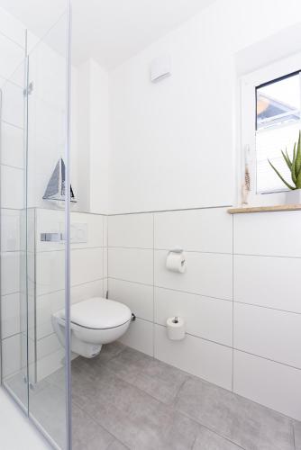 a bathroom with a toilet and a glass shower at Ferienwohnungen Min Huus in Neuharlingersiel