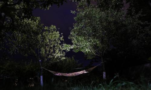 a hammock in the middle of two trees at night at Hayi Tun Guest House in Goris